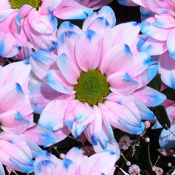 Blumenstrauß Herbstlichter mit Halloren Kugeln & Vase