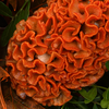 Blumenstrauß Herbstglück mit Vase & Teaballs & Ferrero Giotto 3er