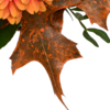 Blumenstrauß Herbstglück mit Vase & Teaballs & Ferrero Giotto 3er