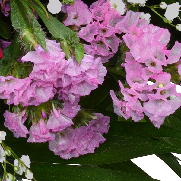 Blumenstrauß Blumenfreude mit Vase & Ferrero Giotto 3er