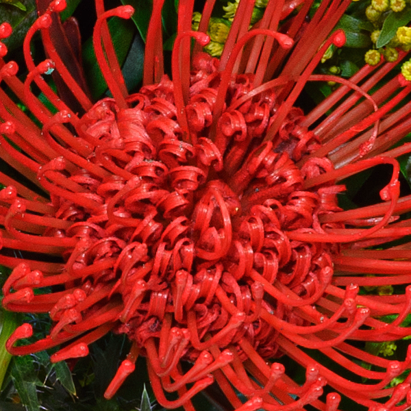 Blumenstrauß Herbsterwachen mit Halloren Kugeln & Vase