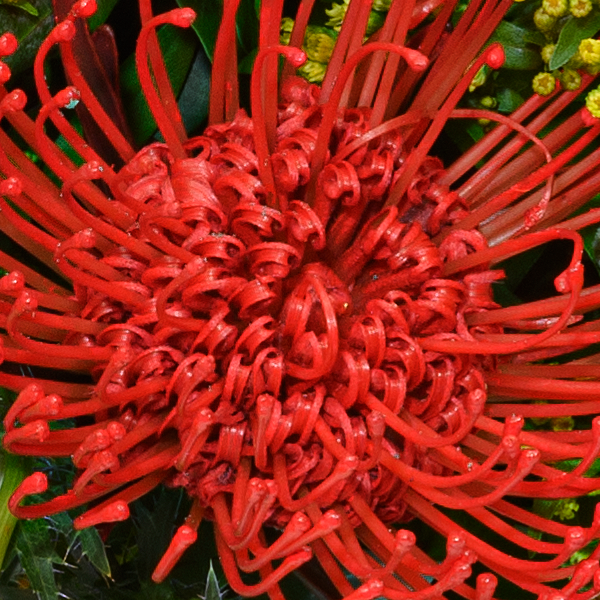 Flower Bouquet Herbsterwachen with vase & 3 Ferrero Giotto