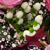 Blumenstrauß Herbstschönheit mit Vase & Teaballs & Ferrero Giotto 3er