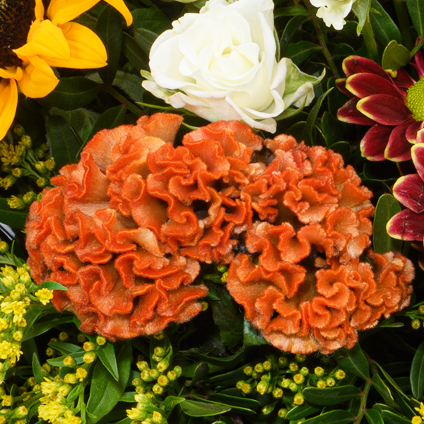 Premiumstrauß Herbstlächeln mit Premiumvase & Ferrero Giotto 3er