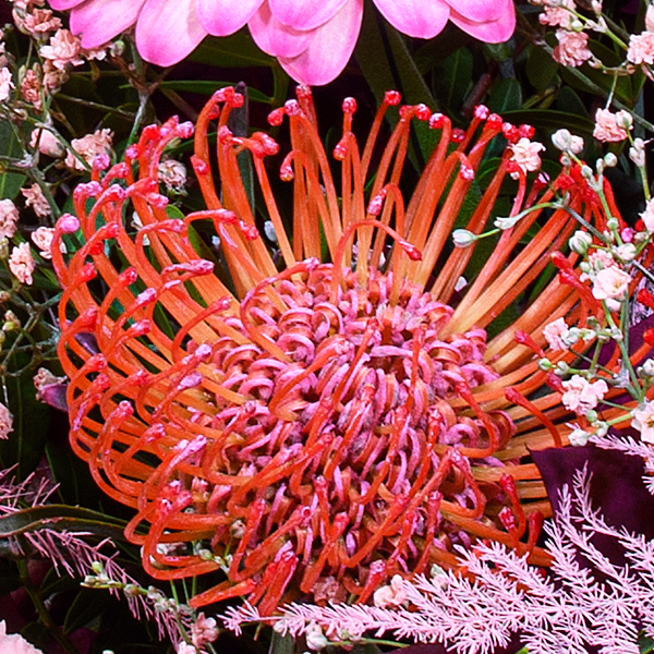 Premiumstrauß Herbstduft mit Premiumvase & Halloren Kugeln