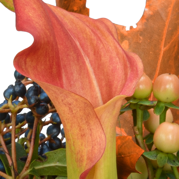 Blumenmix Herbstbotschafter mit Ferrero Giotto 3er