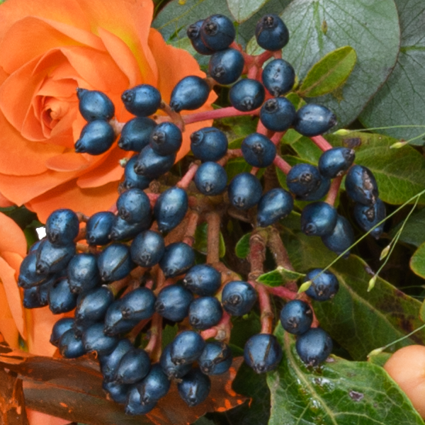 Blumenmix Herbstbotschafter mit Ferrero Giotto 3er