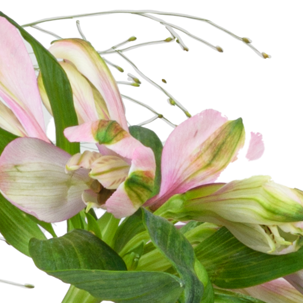 Blumenmix Faszination mit Ferrero Giotto 3er