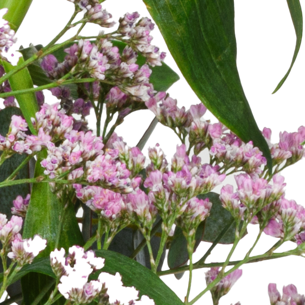 Blumenmix Faszination mit Ferrero Giotto 3er