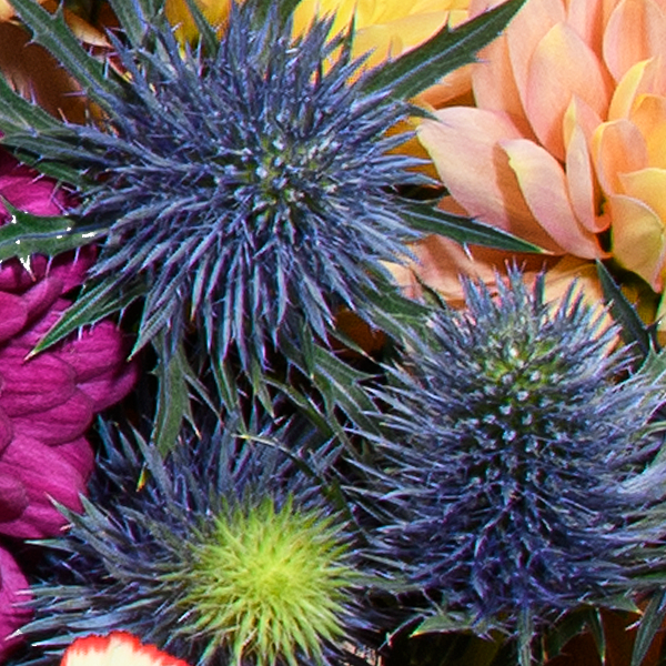 Flower Mix Farbzauber with 3 Ferrero Giotto