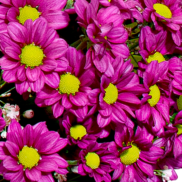 Blumenmix Bunter Herbst mit Ferrero Giotto 3er