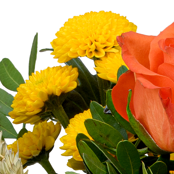 Flower Mix Autumn Star with 3 Ferrero Giotto