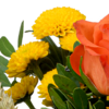 Blumenmix Autumn Star mit Teaballs & Ferrero Giotto 3er
