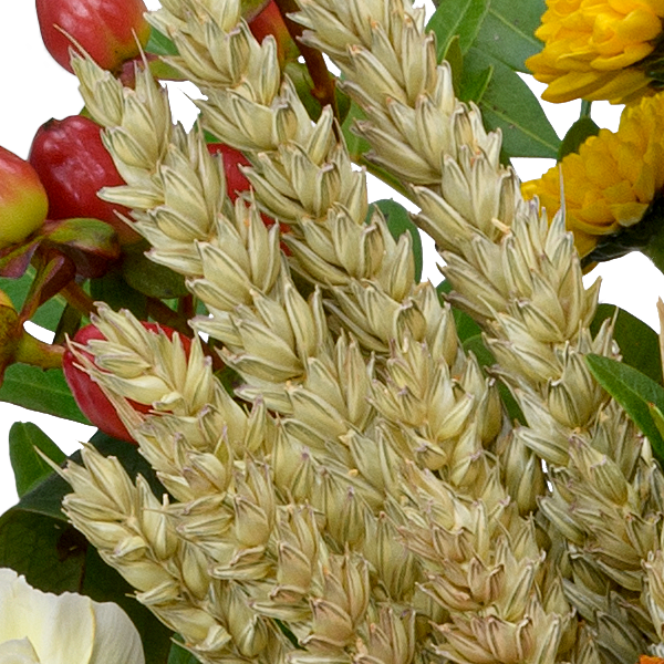 Blumenmix Autumn Star mit Ferrero Giotto 3er