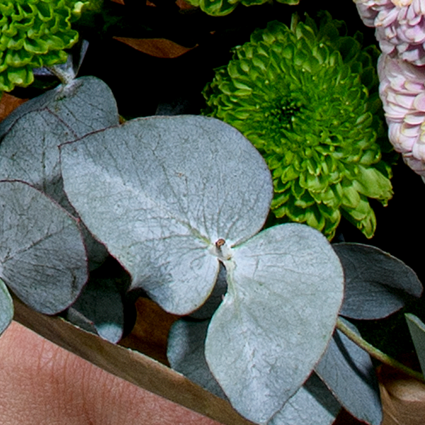 Blumenmix Landtraum mit Ferrero Giotto 3er