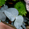 Blumenmix Landtraum mit Teaballs & Ferrero Giotto 3er
