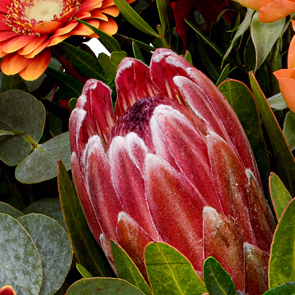 Blumenmix Herbstliebling mit Halloren Kugeln