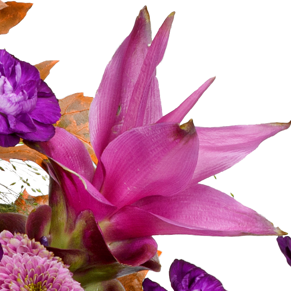 Blumenmix Herbstträumerei mit Halloren Kugeln