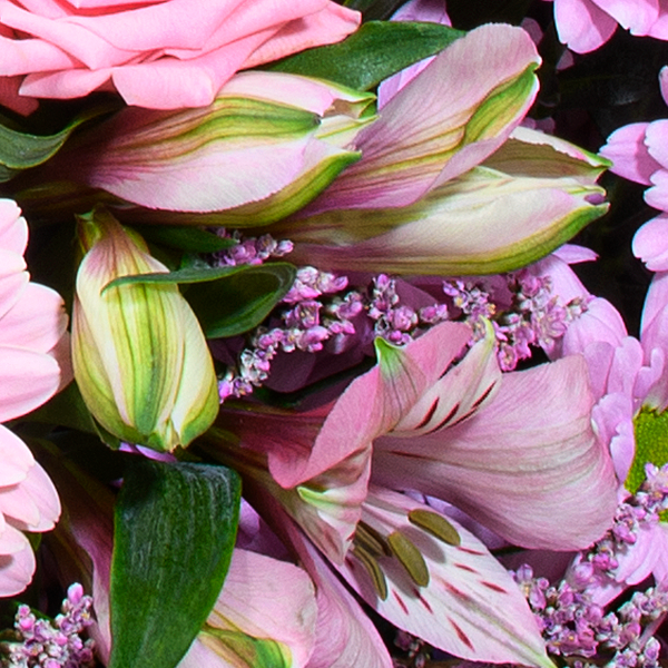 Blumenmix Herbstwiese mit Ferrero Giotto 3er