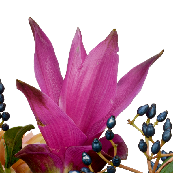 Blumenmix Herbstfestival mit Ferrero Giotto 3er