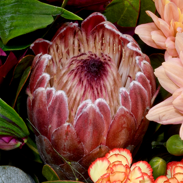 Blumenmix Herbstfestival mit Ferrero Giotto 3er