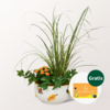 Arrangement Herbstzauber mit Teaballs