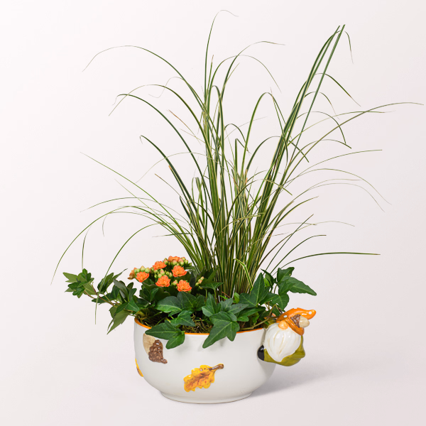 Arrangement Herbstzauber