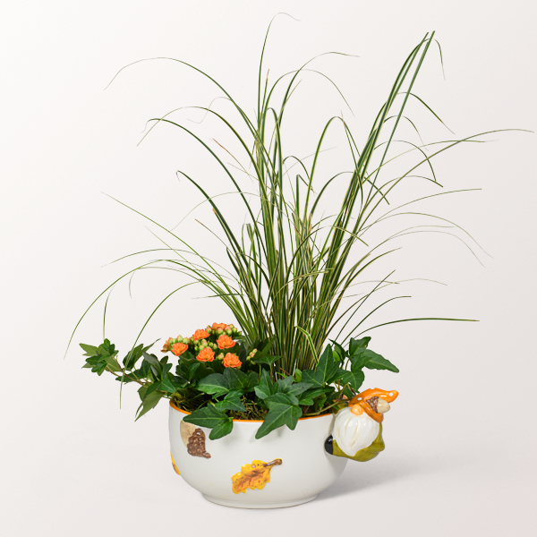 Arrangement Herbstzauber