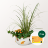 Arrangement Herbstzauber with Teaballs