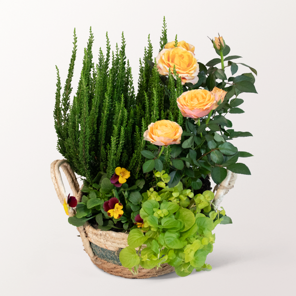 Autumn garden in a Basket