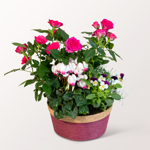 Herbstparty im Körbchen