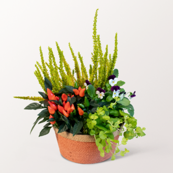 Herbstkörbchen