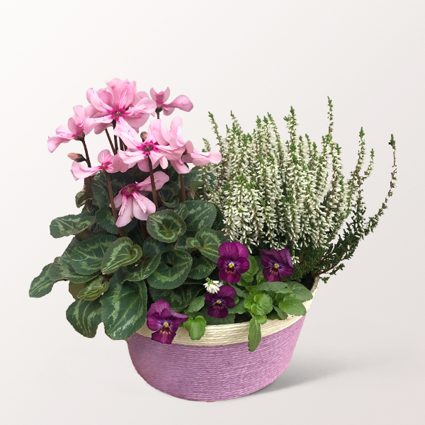 Herbstpoesie im Körbchen