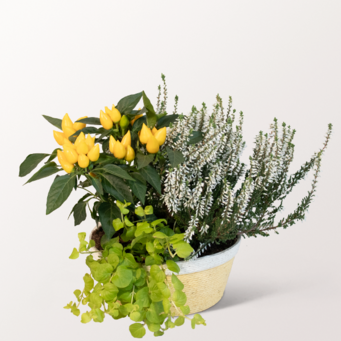 Delicate autumn arrangement