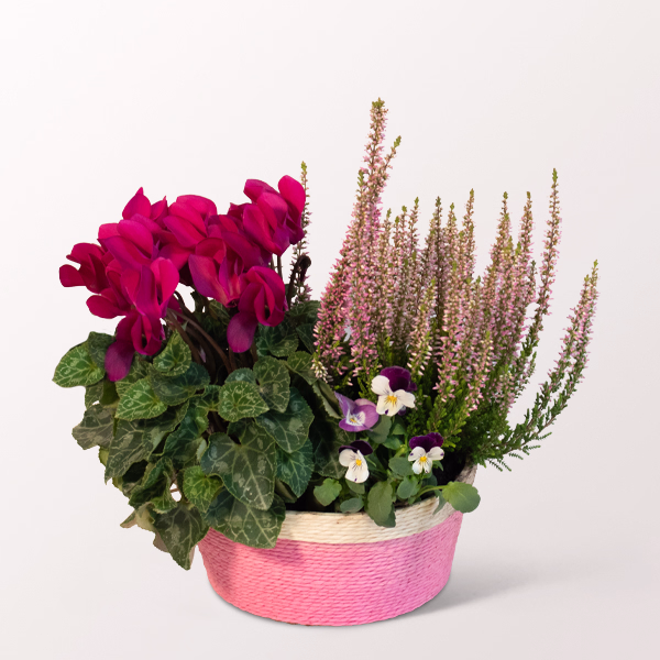 Romantic Autumn Basket