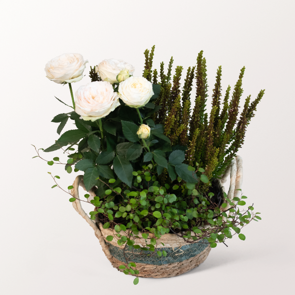 Autumn Magic in a Basket