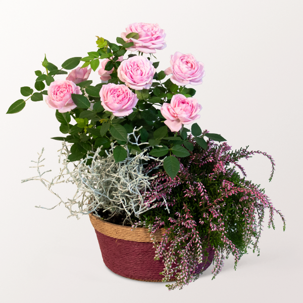 Herbstmärchen im Körbchen