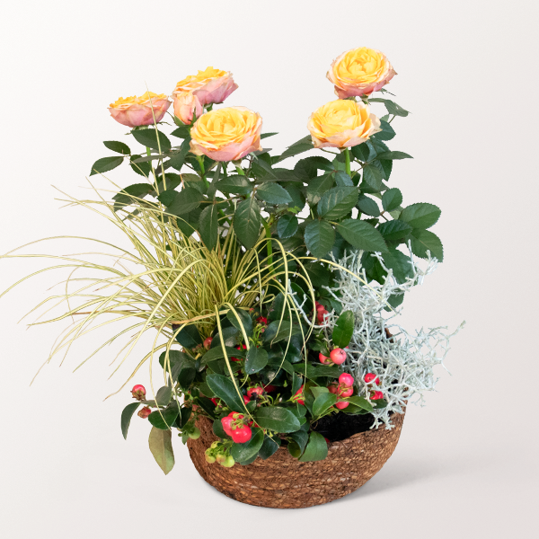 Autumn meadow in a Basket