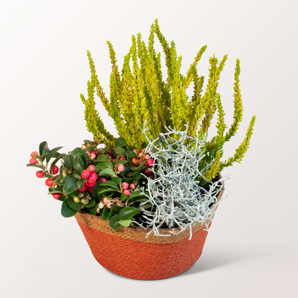 Herbstfest im Körbchen