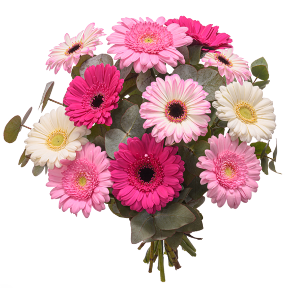 Bunter Gerberastrauß