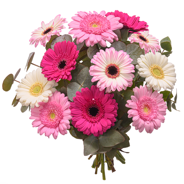 Bouquet Colourful Gerbera
