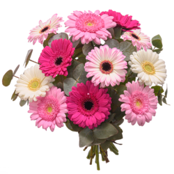 Bouquet Colourful Gerbera