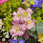 Premiumstrauß zum Muttertag mit Premiumvase & Ferrero Giotto 3er