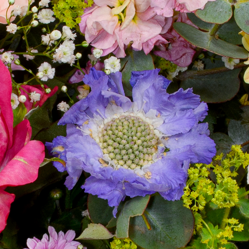 Premium Bouquet for Mother's Day mit Premium Vase & 3 Ferrero Giotto