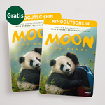 Blumenstrauß Frühlingsstrahl mit 2 Kinokarten & Vase