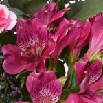 Blumenstrauß Mutterfreude mit Vase & Ferrero Giotto 3er