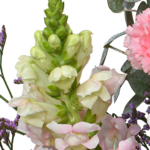 Blumenstrauß Mutterfreude mit Vase & Ferrero Giotto 3er