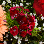 Blumenstrauß Mit Liebe mit Vase & Ferrero Giotto 3er