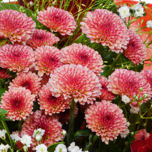 Blumenstrauß Mit Liebe mit Vase & Ferrero Giotto 3er