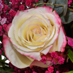 Blumenstrauß Mamas Liebling mit Vase & Ferrero Giotto 3er